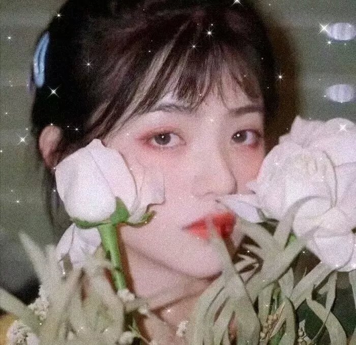 花漾姊妹帮 封面